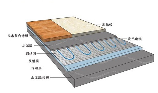 冬季，它們成了甲醛的幫兇