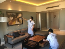 除甲醛公司哪家口碑好？