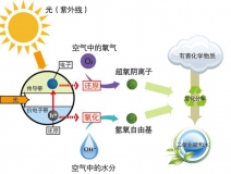 冷觸媒，暗觸媒，風(fēng)觸媒是怎樣的甲醛治理方式？