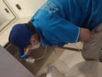 地毯也會引起甲醛超標嗎？