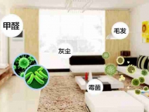 網上的除甲醛好辦法真的有效嗎？原理是什么