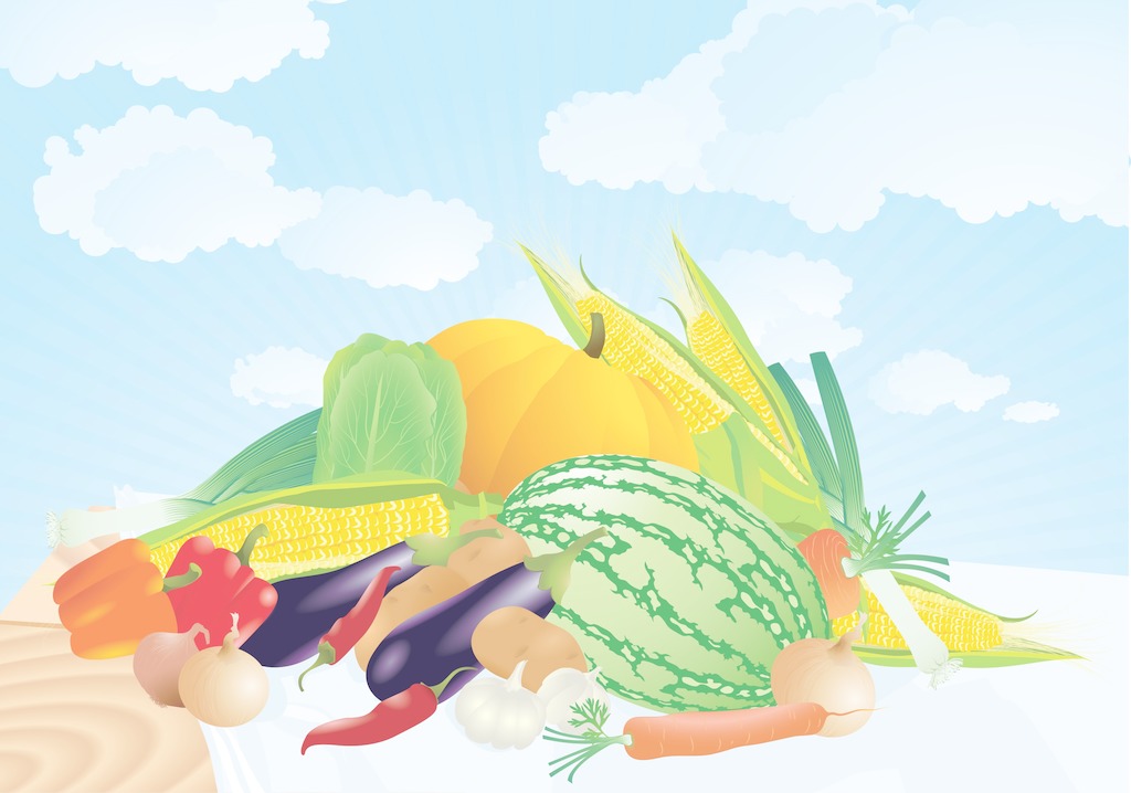 夏季找除甲醛公司有哪些需要注意的？